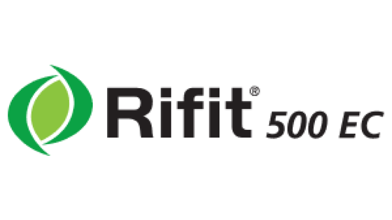 rifit