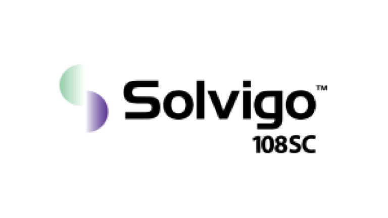 solvigo