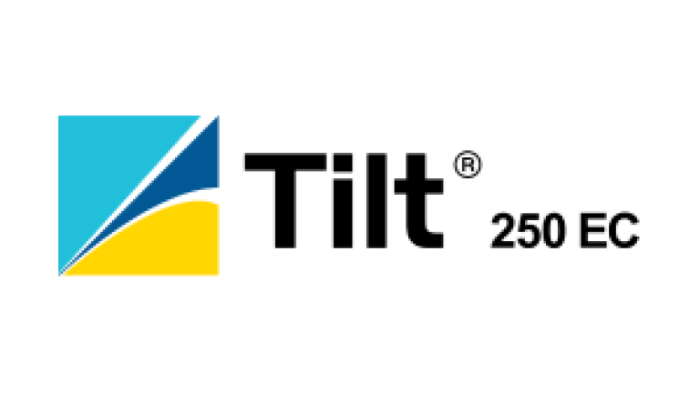 tilt