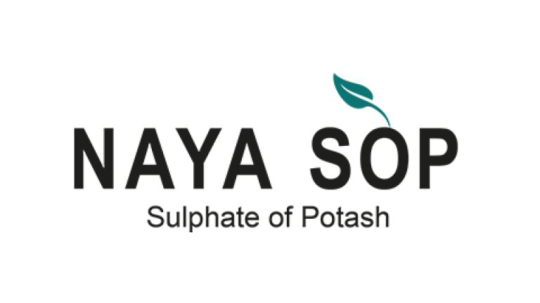 sop-e.png